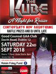 A Night For Roisin